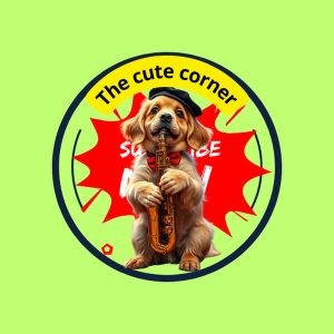 Youtube channel for sale only 20 USD - Cute Corner